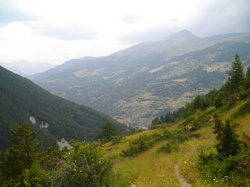 Illustration de la galerie