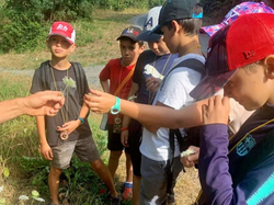 Illustration de la galerie