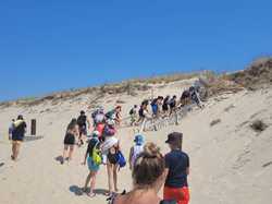 Illustration de la galerie