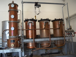 Illustration de la galerie