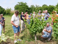 Illustration de la galerie