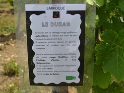 Illustration de la galerie