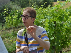 Illustration de la galerie