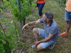 Illustration de la galerie