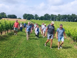 Illustration de la galerie