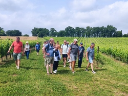 Illustration de la galerie