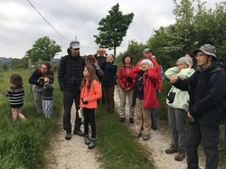 Illustration de la galerie