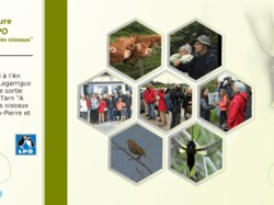 Illustration de la galerie