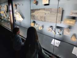 Illustration de la galerie