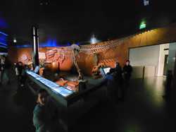 Illustration de la galerie