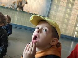 Illustration de la galerie