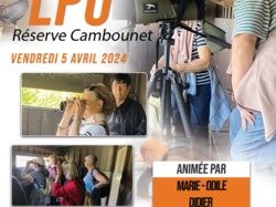 Illustration de la galerie