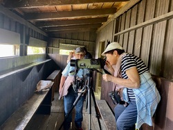 Illustration de la galerie