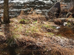 Illustration de la galerie