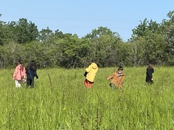 Illustration de la galerie