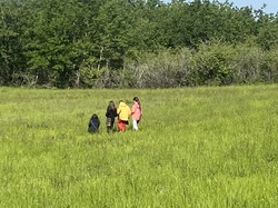 Illustration de la galerie