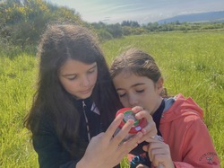 Illustration de la galerie