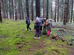 Illustration de la galerie