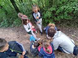 Illustration de la galerie