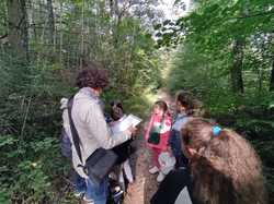 Illustration de la galerie