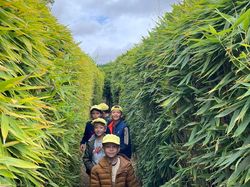 Illustration de la galerie