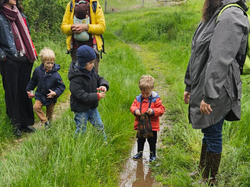 Illustration de la galerie