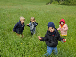 Illustration de la galerie