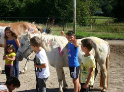 Illustration de la galerie