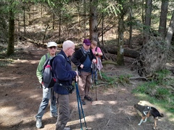 Illustration de la galerie