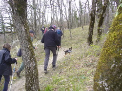 Illustration de la galerie