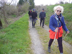 Illustration de la galerie