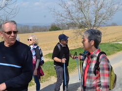 Illustration de la galerie