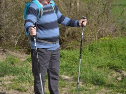 Illustration de la galerie