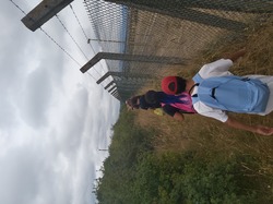 Illustration de la galerie