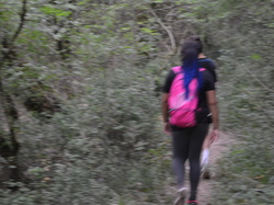 Illustration de la galerie