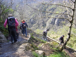 Illustration de la galerie