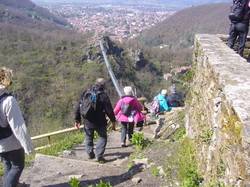 Illustration de la galerie