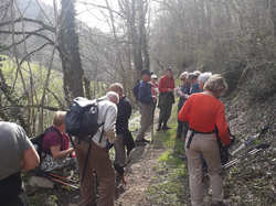 Illustration de la galerie