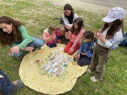 Illustration de la galerie