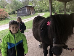 Illustration de la galerie