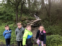 Illustration de la galerie