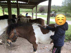 Illustration de la galerie