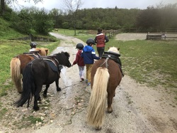 Illustration de la galerie