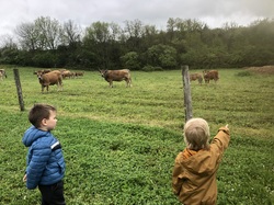 Illustration de la galerie