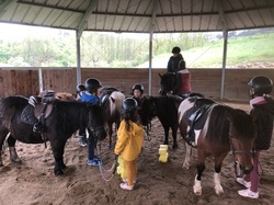 Illustration de la galerie