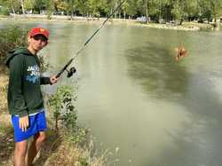 Illustration de la galerie